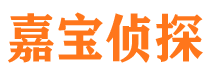 偏关市调查公司